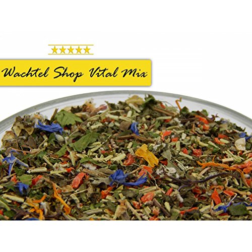 Wachtel Vital Mix - 2