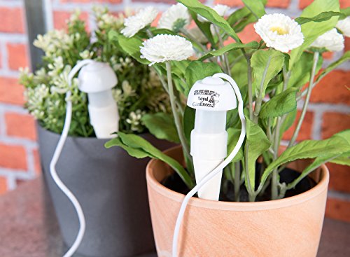 Royal Gardineer Topfpflanzen-Bewässerungs-System mit Tonspitze und Schlauch, 5er-Set - 5