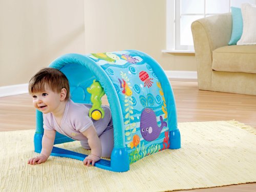 Fisher-Price Ocean Wonders Gym