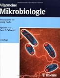 Image de Allgemeine Mikrobiologie: Begründet von Hans-Günter Schlegel