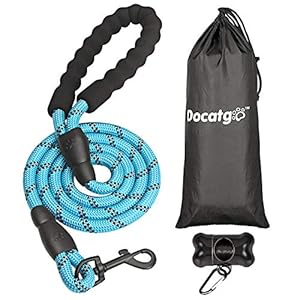 Docatgo Correa de Perro,1,5m Correas de Perros Nylon con MangoAcolchadocómodo,Roscas Altamente Reflectantes para Perros Grandes o Medianos (Azul)