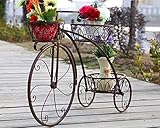 Verpackung: Regal * 1. GRY Eisen Multilayer Fahrrad Blumenständer,Bronze