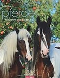 Pferde - Schönheit und Eleganz 2013 by 