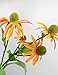 Produktbild 28,3" Hohe Qualität Kunstblume Echinacea Purpurea für Wohnen und Dekoration 1pc/Set , orange