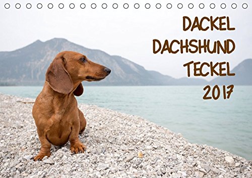 DACKEL DACHSHUND TECKEL 2017 (Tischkalender 2017 DIN A5 quer): Mit dem Dackel durch's Jahr (Monatskalender, 14 Seiten ) (CALVENDO Tiere)