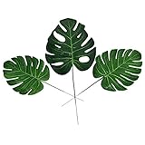 Geben Sie Ihnen den Sinn für die Schönheit und eine gute Stimmung an einem Tag.