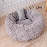 Bestes Schlafzimmer oder Ruheplatz für Ihren Hund oder Ihre Katze.