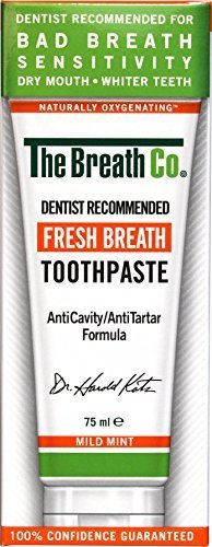 The Breath Co Fresh Breath Toothpaste - 75 ml, Mild Mint by The Breath Co