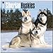 Siberian Huskies 2014 - Sibirische Huskies: Original BrownTrout-Kalender [Mehrsprachig] [Kalender] by 