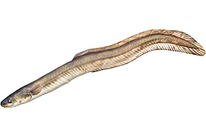 GABY Fish Pillows - Kissen - Europäischer Aal - 115 cm