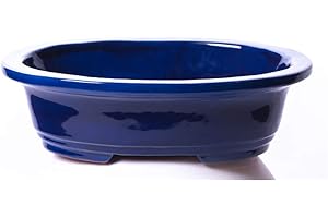 Alfareros Damian Canovas Maceta para Bonsai DE Barro Y ESMALTADA EN Color Azul Cobalto.Mod. Osaka. Medidas 25X20X7CM.con TU Compra TE REGALAMOS EL Plato.
