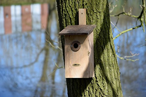 dobar 22415e Nistkasten für Vögel, aus Holz (Kiefer, Massivholz), für Garten, Balkon, Wand, 3 variable Einfluglöcher, mit Beobachtungsmöglichkeit, Farbe: Braun – Nisthilfe Vogelhaus - 8