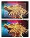 Produktbild Royal Wandtattoo RS. 75820 Sticker Dragon für Sony Tablet Z2