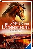 Die Spur der Donnerhufe, Band 1: Flammenschlucht by 