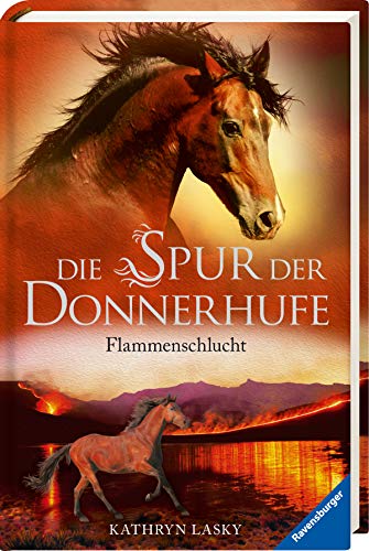 Die Spur der Donnerhufe, Band 1: Flammenschlucht