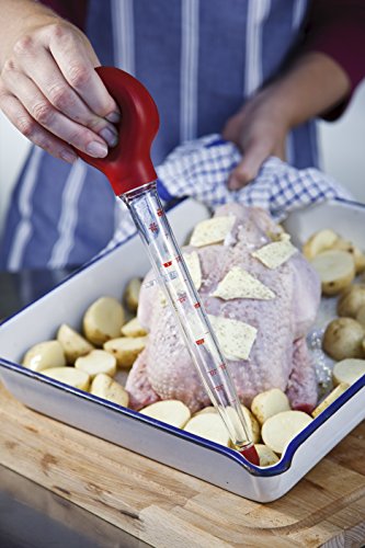 Zyliss E25800 Bratensaft und Gewürzspritze - 2