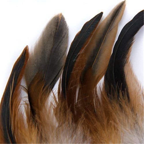 ERGEOB Hahn Feder – Ideen für die Kostüme, Hüte, Home dekor circa 100 stück 12-18cm braun - 2