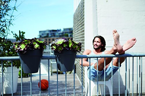 elho Loft Urban Eckig Hoch Blumenkasten 30cm – Anthrazit - 3