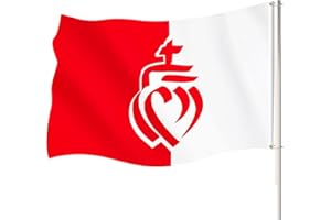 HPMAISON Drapeau Vendée Department Flag 90x150cm Drapeau de la Province de Vendée avec 2 boutons en laiton Drapeaux décoratifs pour l'intérieur et l'extérieur Convient Pour les Festivals et Les Célébrations