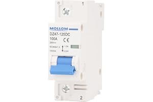 MOLLOM 1P CC Disyuntor Miniatura,250V 100A (C100),MCB personalizado con visualización de escena,disparo térmico-magnético,6KA.Interruptor de desconexión CC para sistema fotovoltaico solar
