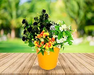 HINS Metal Bucket Shape Plant Pot For Indoor & Outdoor Gardening (Yellow, Medium) Plant Stands For Indoor Balcony I Plant Bench I Plant Stands I Pot Stand Single I Potted Plant Stand I Big Pots I Metal Plant Stand I Tall Outdoor Planter I Metal Casters I Large Plant Stand I Pot Stands For Garden I Indoor Plants Stand I Iron Plant Stand I Terrace Garden Stand I Garden Rack I Iron Stand For Pots I Pots Stand I Indoor Planter With Stand I Metal Plant Stands I Vase