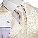 VS1016-S Beige Pattern Vest Necktie Cufflinks Bowtie Hanky Mens Gifts By Y&G