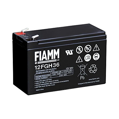 FIAMM 9642