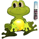 'Petra' s Manualidades (News a de lfr8318 F Juego de Manualidades,leuchti de Rana, como Hucha...