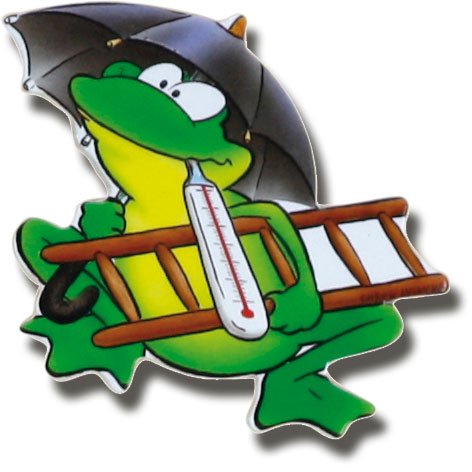 Magnettafel Frosch – Lauschige Design Metall Magnetpinnwand 60×40 cm – Memoboard Pinnwand mit Motiv: Natur & Tiere Froschteich – inkl. 8 Magnete Frösche für Magnetwand – Original GUMA Magneticum® - 6