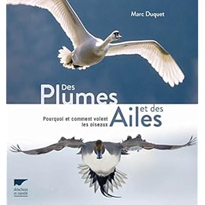 Des plumes et des ailes Livre en Ligne - Telecharger Ebook