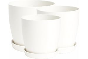 Home Garden Ornaments ,Plant Pots Indoor,Indoor Plant Pot Set of 3,Flower Pots with Mat Surface (14cm,16cm,18cm, Colour White)
