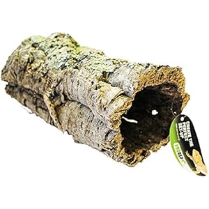 ProRep Korkrinde, kurze Röhre, mittelgroß