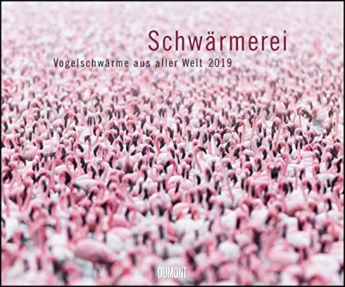 Schwärmerei 2019 - Fotokunst-Kalender - Querformat 58,4 x 48,5 cm - Spiralbindung: Vogelschwärme aus aller Welt
