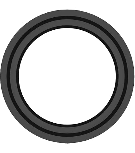 5 Joints D'étanchéité Pour Filtre à Sable - Modèle P6029 - Diamètre Extérieur 55mm Intérieur 45mm