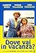 Dove vai in vacanza?
