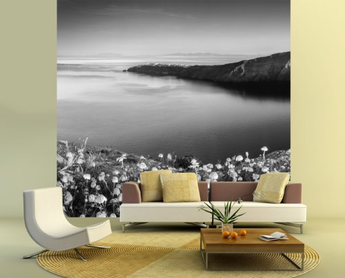 Gratuit Images Pate Inclus Vente Directe Fabricant 265x200 Cm Bilderdepot24 le plus cool par