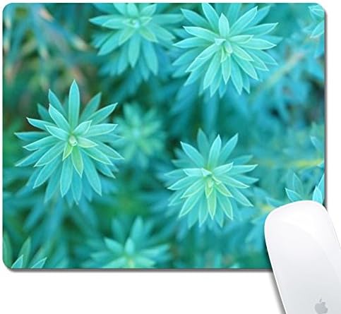 Wolf Personalized Rectangular Printed Pattern Mouse Pad, Customized Mouse Pad Comfortable Non-slip Rubber (9.45x7,87inch) Round 27