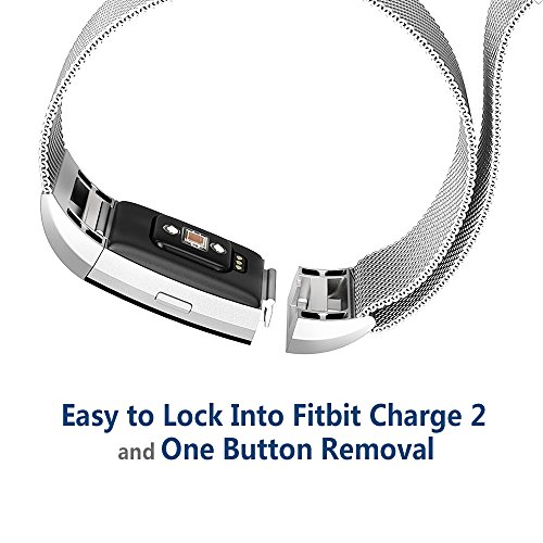 Fitbit Ladegerät 2 Band - 8