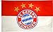 Produktbild FC Bayern München Hissflagge Logo, 250x150cm