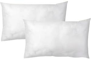LNT France - Coussins de Garnissage, Ultra Gonflant, Coussin Canapé, Coussin à Recouvrir, Rembourrage Coussins Blanc (50x30 cm (Lot de 2))