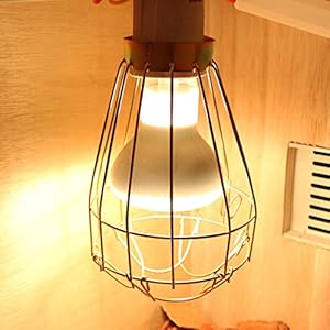 Pet Online Schatten anti-hot keramische Heizung Reptile feeding, Zaun