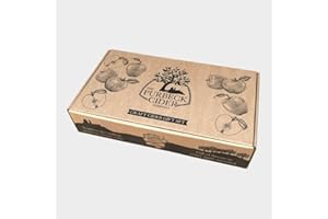 TWELVE GREEN BOTTLES The Purbeck Cider Company – Craft Cider Gift Set | 6 x 330ml cans +1 x Half Pint Glass Gift Box | 5% ABV