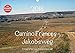 Camino Frances - JakobswegAT-Version (Wandkalender 2018 DIN A3 quer): Unterwegs am Jakobsweg von St. Jean-Pied-de-Port nach Santiago de Compostela ... [Kalender] [Apr 01, 2017] Luef, Alexandra by 