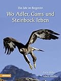 Image de Wo Adler, Gams und Steinbock leben