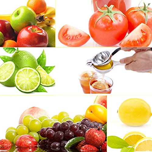 Acxeon Zitronenpresse in 7.0CM Durchmesser, Premium Qualität in Edelstahl Hand Zitruspresse Lemon Juicer, Sturdy Lime Squeezer, Hand Zitruspresse - 9