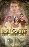Cover zum Buch Josh Carter und der Meister des Labyr...
