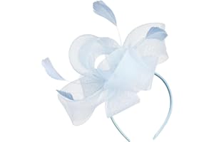 Hotstylezone Large Feather Looped Headband Fascinator Ladies Day Wedding 1893 (pale blue)