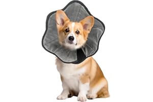 Fivtsme Collier de Récupération Chien, Collerette pour Chien Anti Lechage, Réglable Collier de Récupération Chien, Anti-Morsure Cône Collerettes,Collerette Chien pour Chien Après Opération(M: 36-39cm)