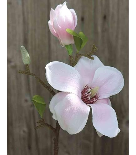 Branche De Magnolia En Tissu FEMI, Rose-blanc, 80cm, 12cm
