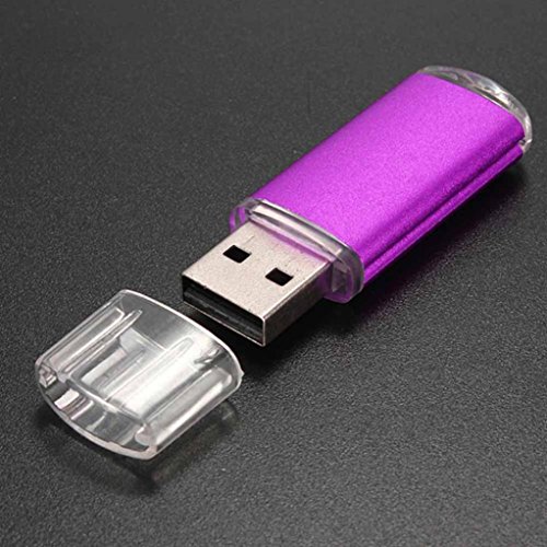 FEITONG 1GB USB 2.0 Metall Flash Memory Stick Speicher Thumb U Festplatte (Lila) - 5